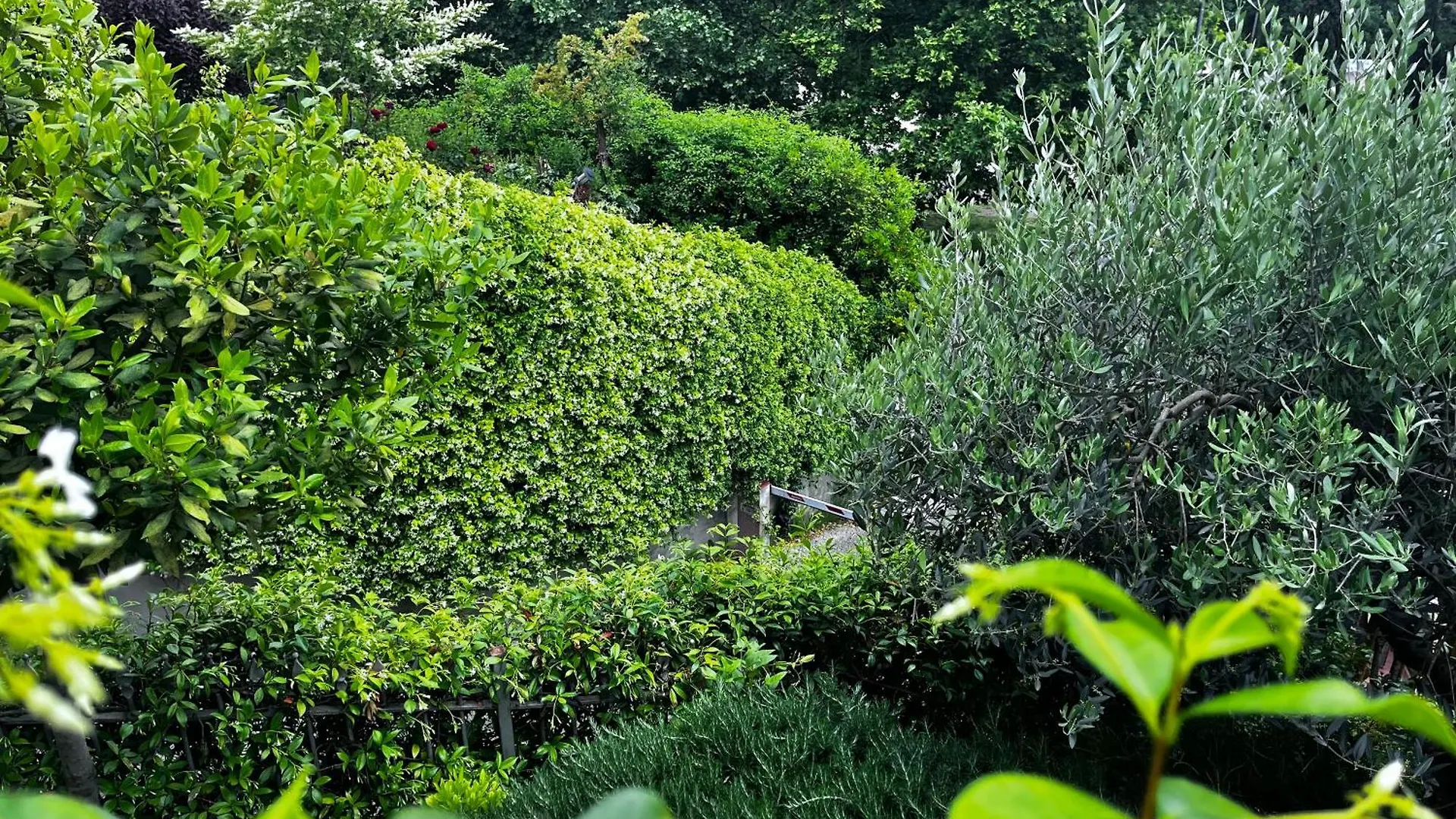 Apartment In The Green Perugia